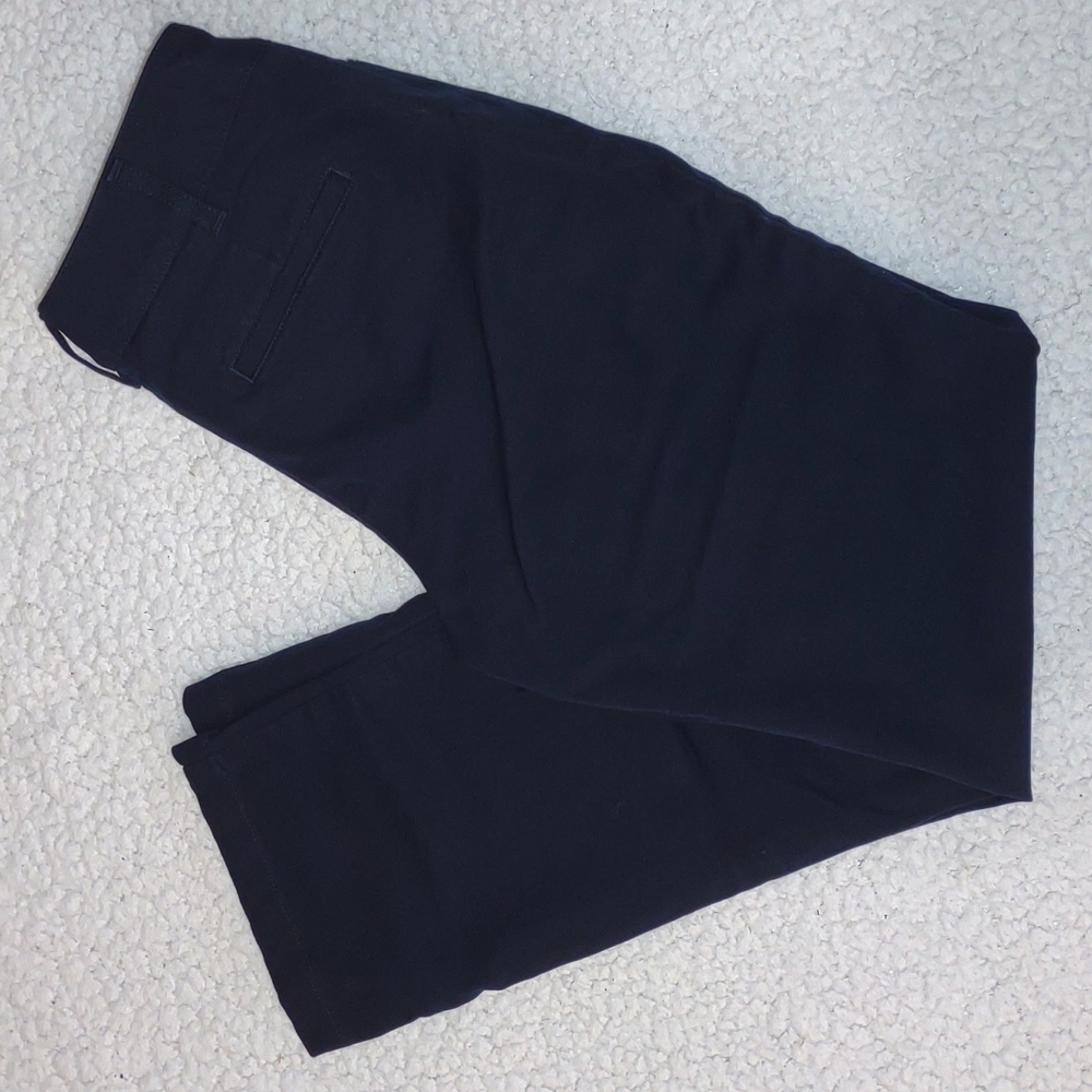Talbot's Petite Curvy Navy Blue Business Casual Pants Size 2P